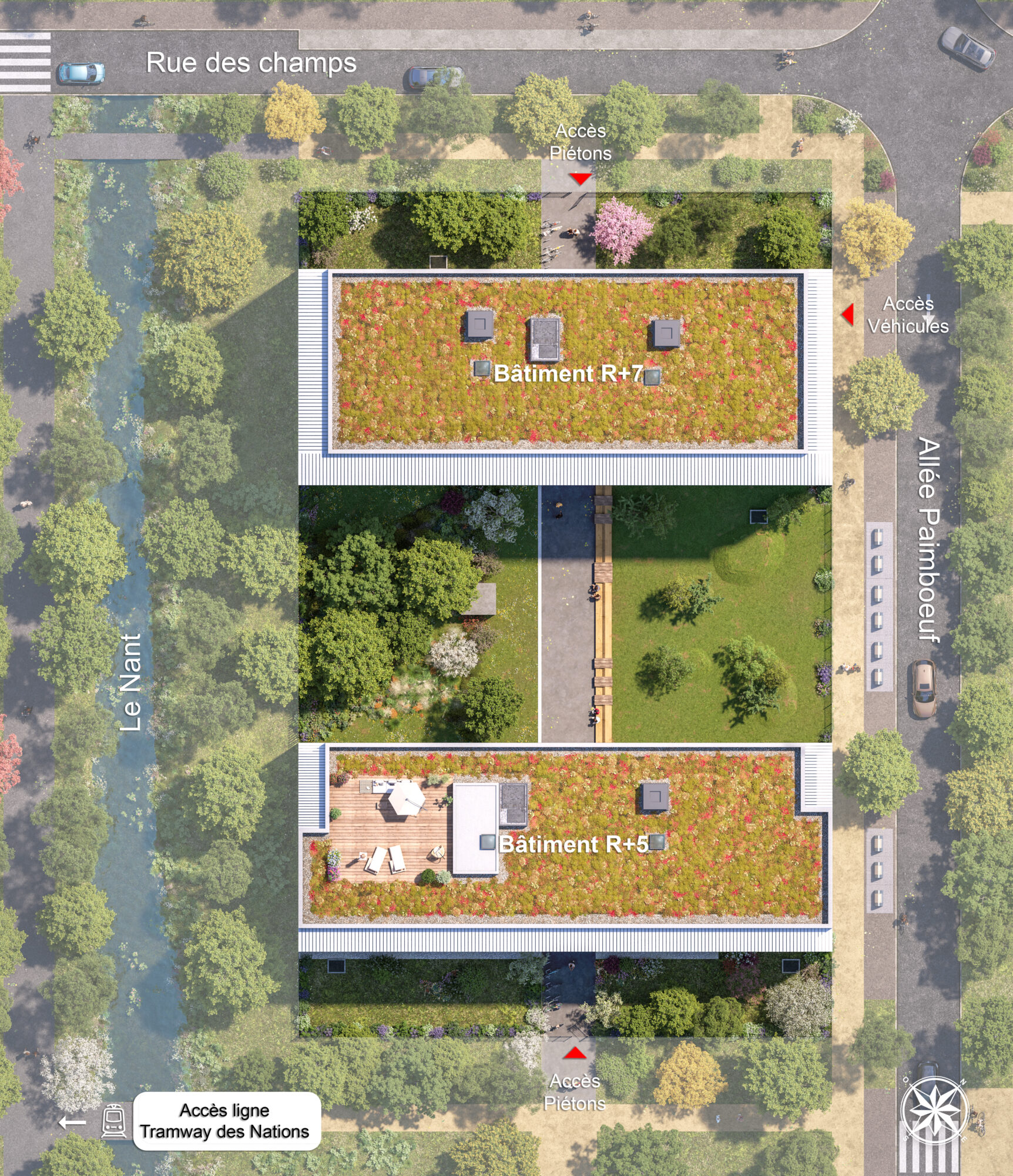 Plan masse résidence